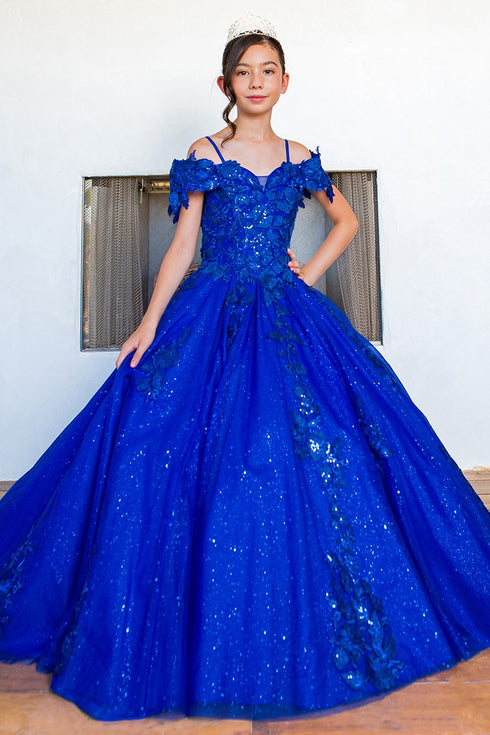 Girls Bliss Sweetheart Sequin Glitter Lace Train Ball Gown 2-16